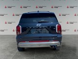 ABYSS BLACK 2025 Hyundai Palisade Ultimate Calligraphy