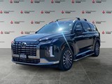 ABYSS BLACK 2025 Hyundai Palisade Ultimate Calligraphy