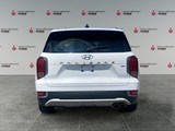 HYPER WHITE 2022 Hyundai Palisade Luxury 7 Passenger