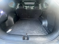 2023 Kia Sportage X-Line Limited AWD w/Green Interior