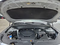 2023 Kia Telluride SX Limited AWD w/Black Interior