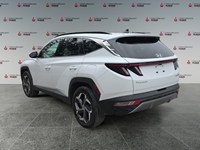 CRYSTAL WHITE 2024 Hyundai Tucson Hybrid Luxury AWD