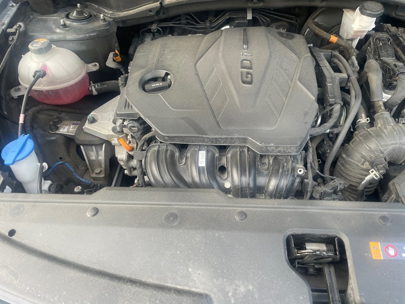 2023 Kia Sportage X-Line Limited AWD w/Green Interior