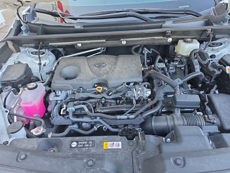 WHITE 2026 Toyota RAV4 XLE AWD