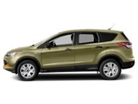 2013 Ford Escape FWD 4dr SE Ginger Ale Metallic  Shot 23