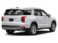 2022 Hyundai Palisade Luxury 7-Passenger AWD Hyper White  Shot 6