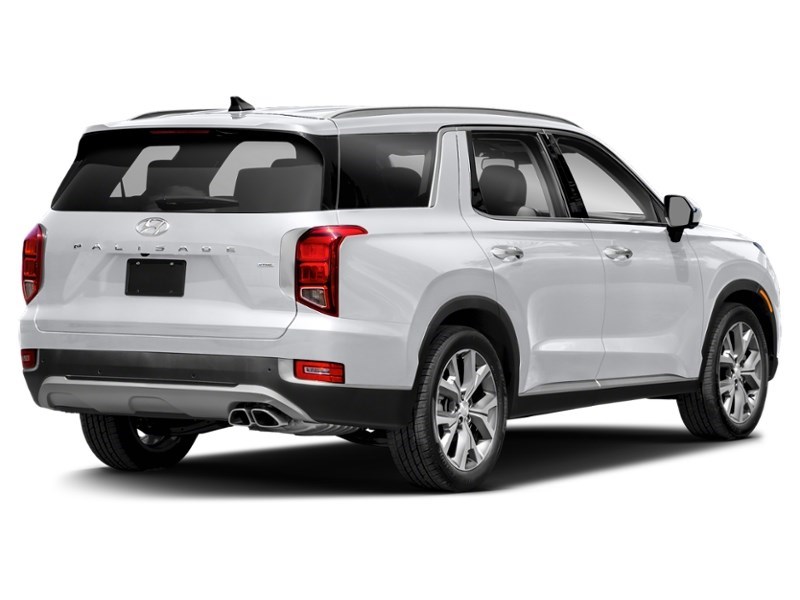 2022 Hyundai Palisade Luxury 7-Passenger AWD Hyper White  Shot 6