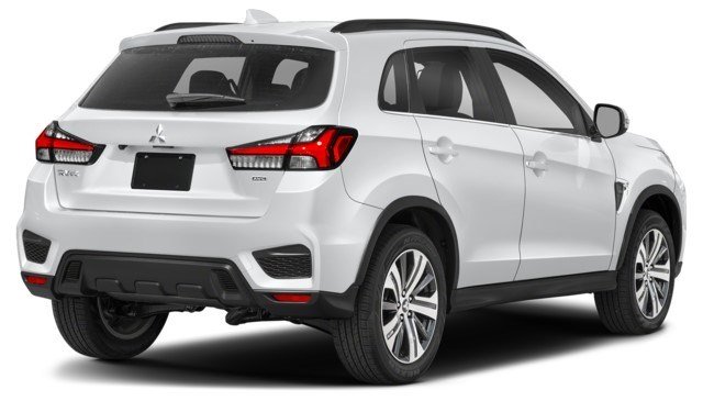 Labrador Black [Black]