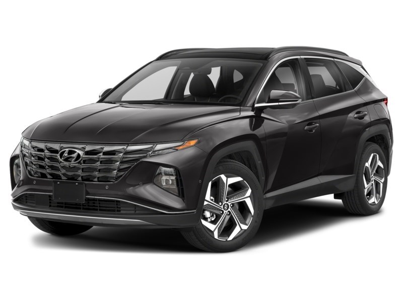 2023 Hyundai Tucson Preferred AWD w/Trend Package Ash Black  Shot 4