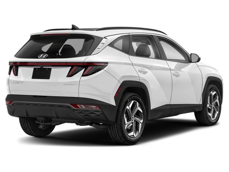 2024 Hyundai Tucson Hybrid Luxury AWD Crystal White  Shot 6