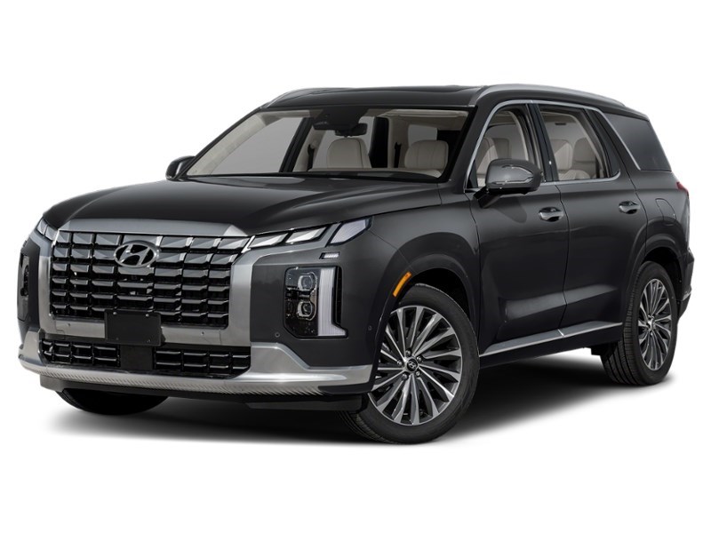 2025 Hyundai Palisade Ultimate Calligraphy 7-Passenger AWD Abyss Black  Shot 4