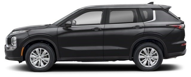 Labrador Black [Black]