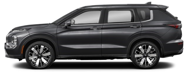 Labrador Black [Black]